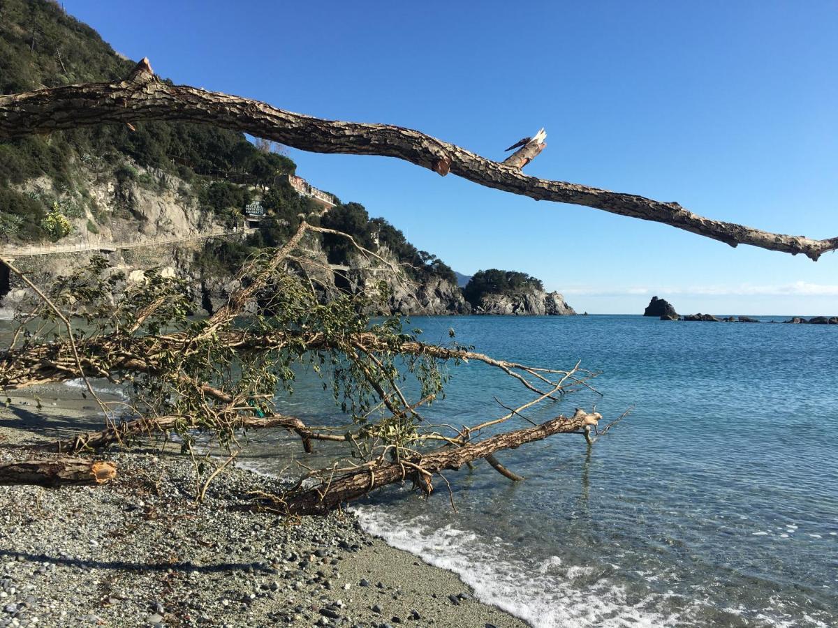Le Cinque Vele ***** Cinque Terre Daire Monterosso al Mare Dış mekan fotoğraf