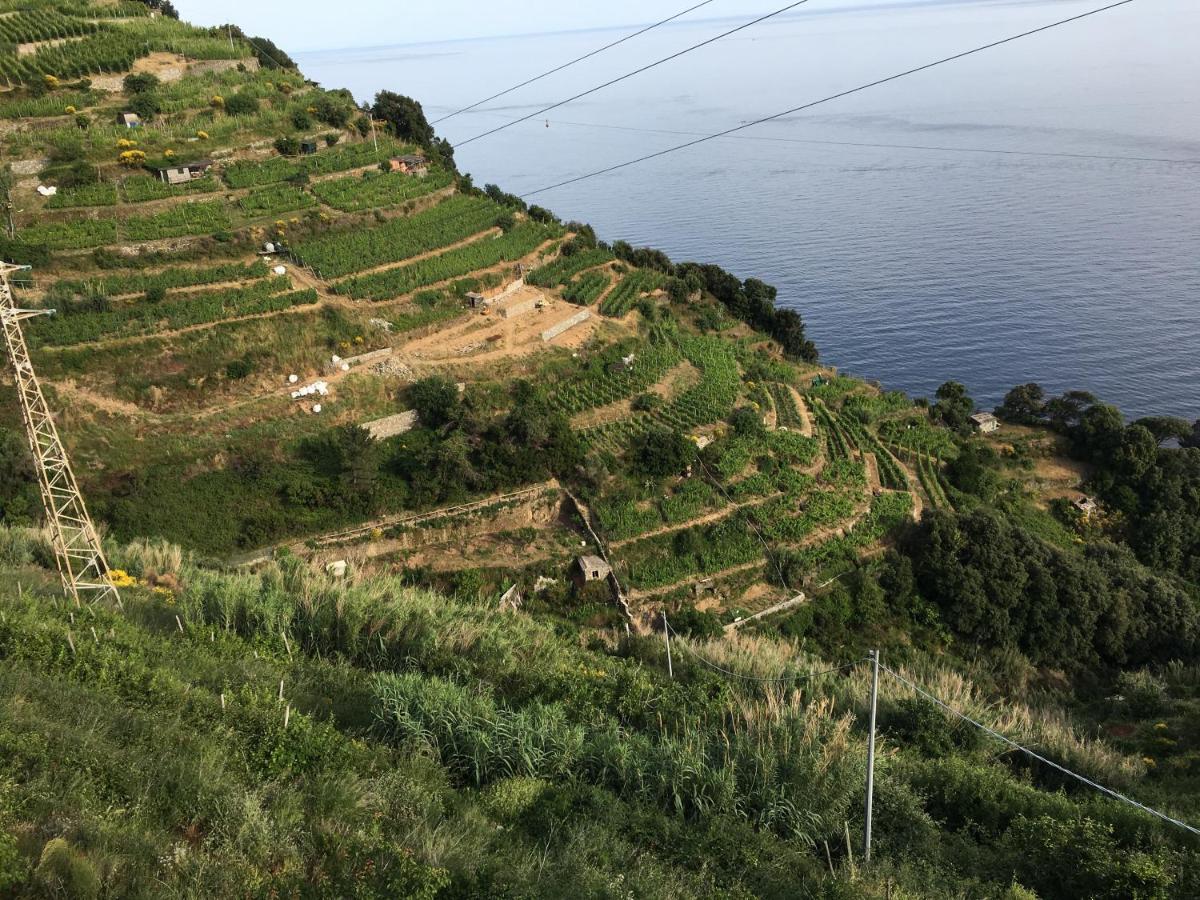 Le Cinque Vele ***** Cinque Terre Daire Monterosso al Mare Dış mekan fotoğraf