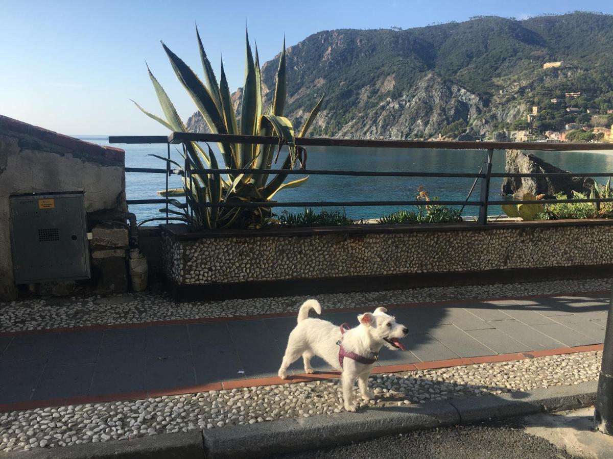 Le Cinque Vele ***** Cinque Terre Daire Monterosso al Mare Dış mekan fotoğraf