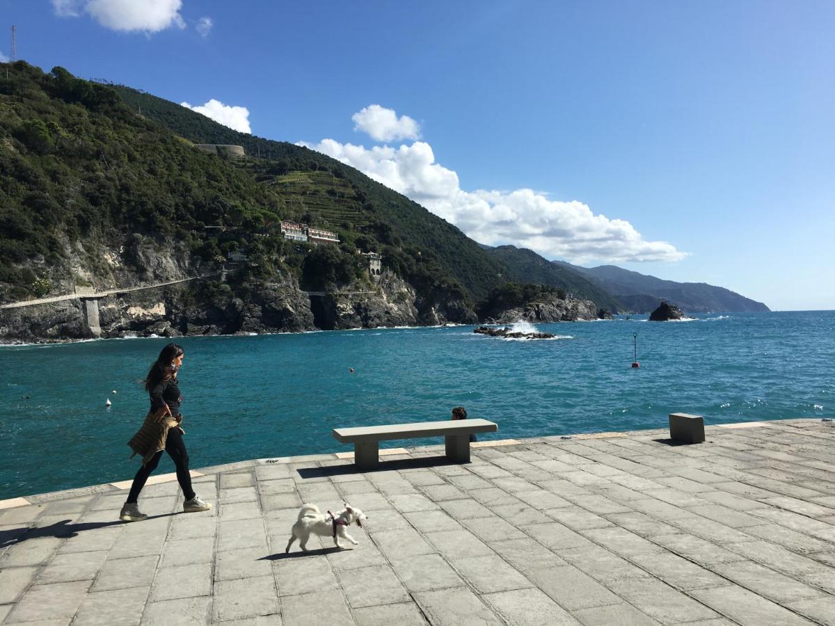 Le Cinque Vele ***** Cinque Terre Daire Monterosso al Mare Dış mekan fotoğraf